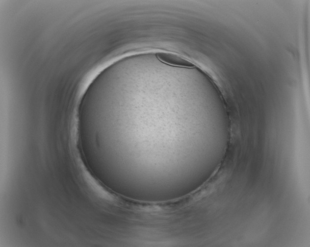 X0000113901524200910081818