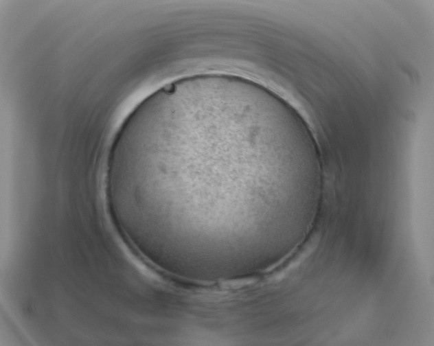 X0000113901525200910081818