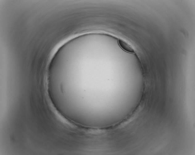 X0000113901526200910081818