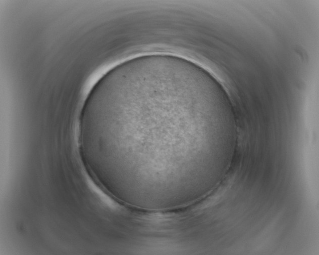 X0000113901527200910081818