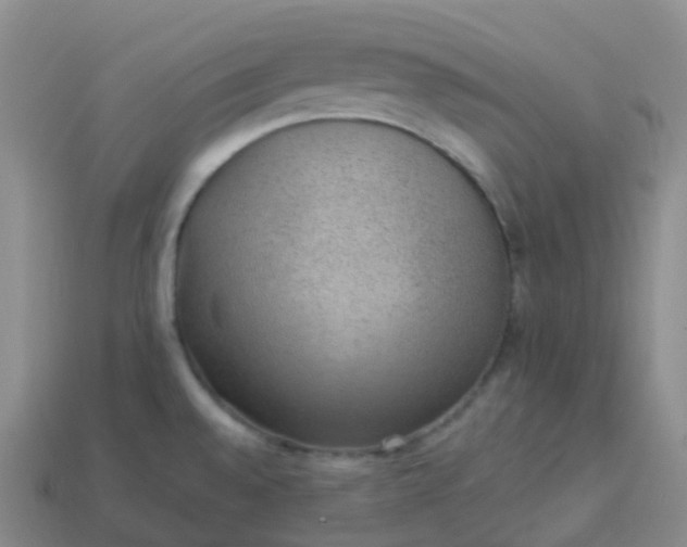 X0000113901528200910081818