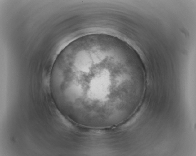 X0000113901529200910081818