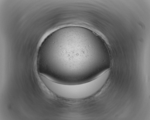 X0000113901530200910081818