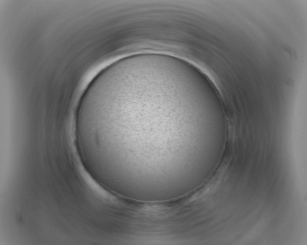 X0000113901531200910081818