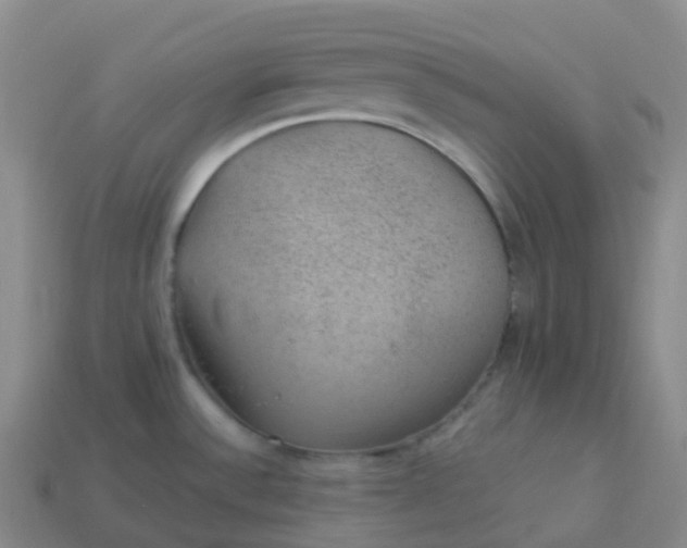 X0000113901532200910081818