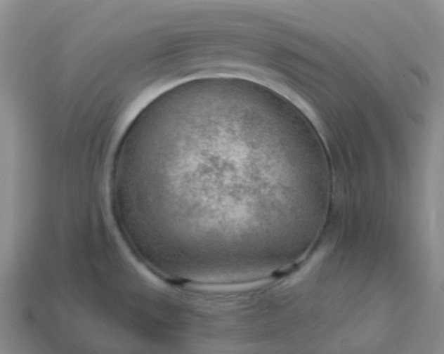 X0000113901533200910081818