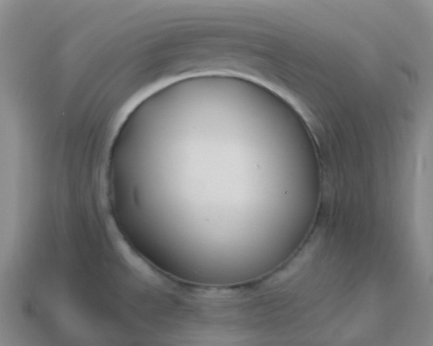 X0000113901534200910081818