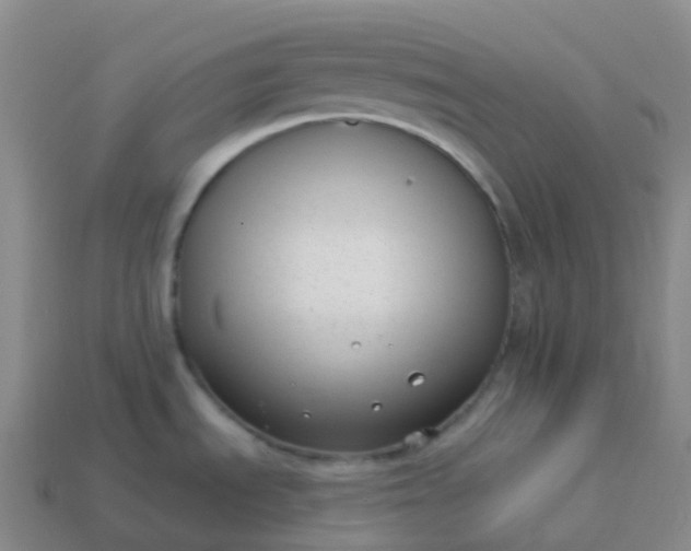 X0000113901535200910081818