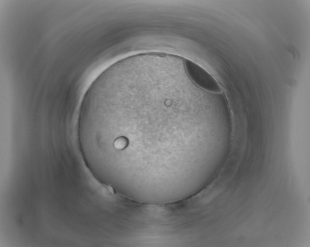 X0000113901536200910081818