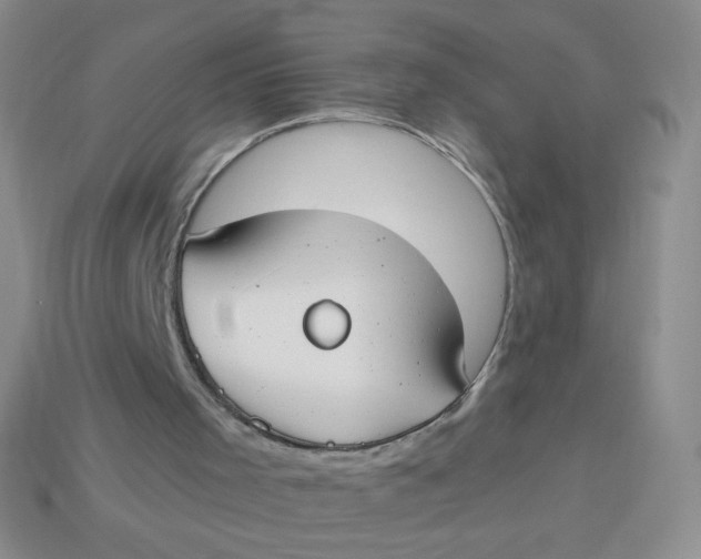 X0000113900001200910151406