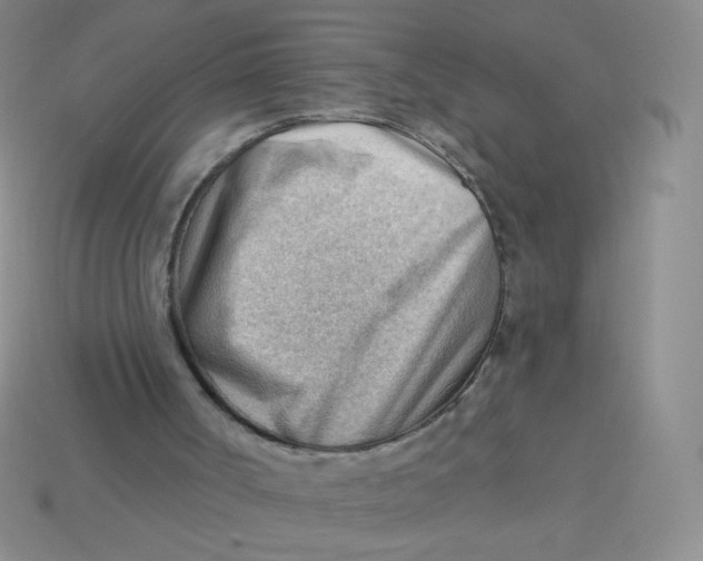 X0000113900002200910151406