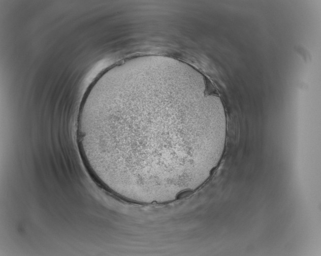 X0000113900003200910151406