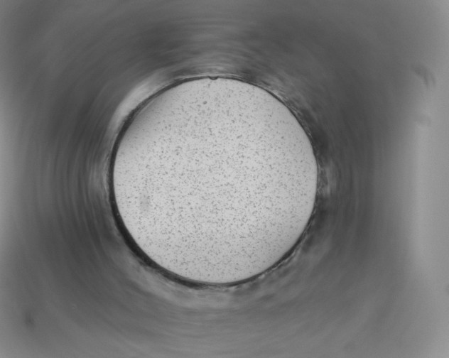 X0000113900004200910151406