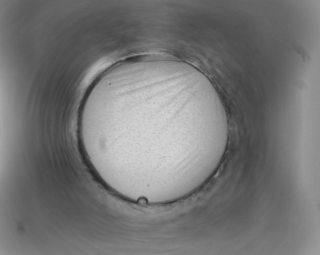 X0000113900006200910151406