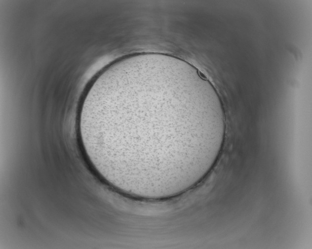 X0000113900008200910151406