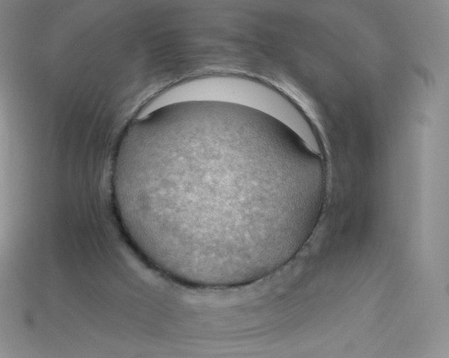 X0000113900009200910151406