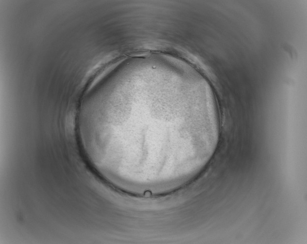 X0000113900010200910151406