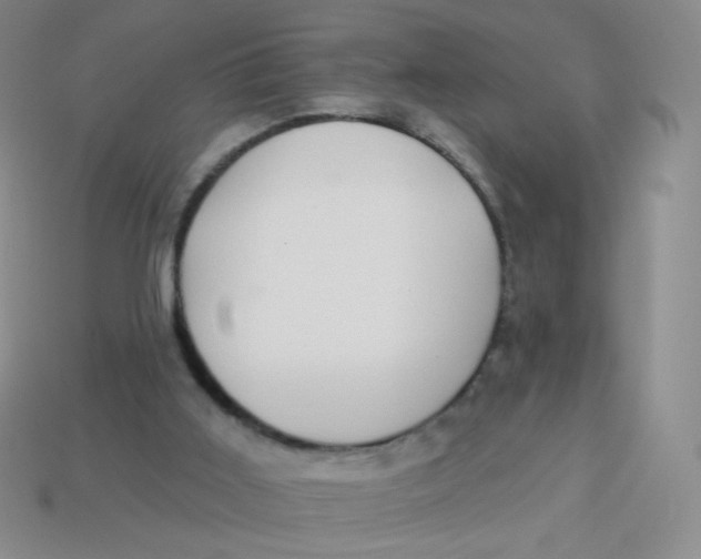 X0000113900011200910151406