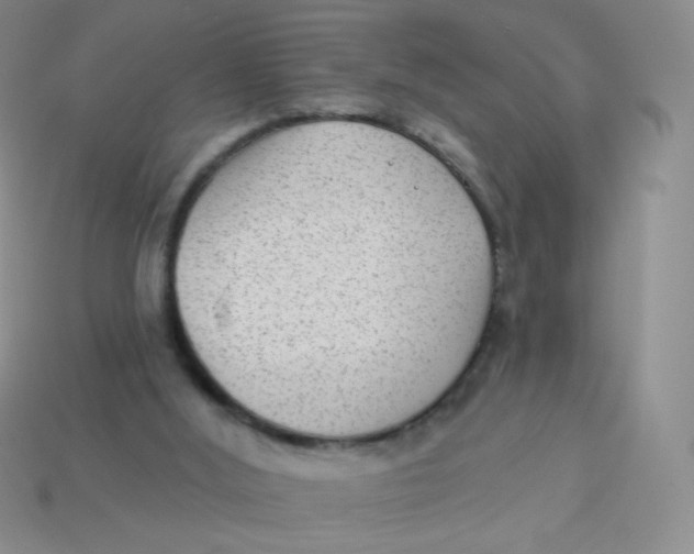 X0000113900012200910151406