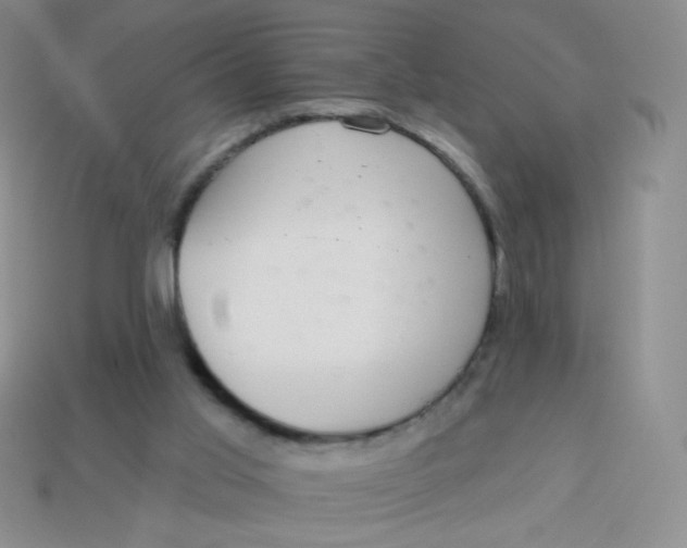 X0000113900013200910151406