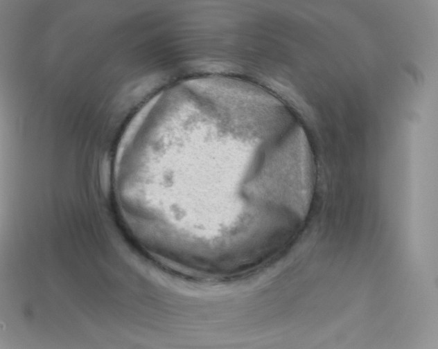 X0000113900014200910151406