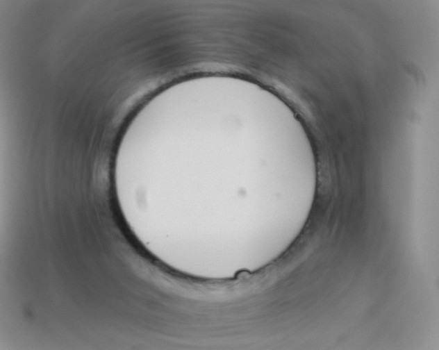 X0000113900015200910151406