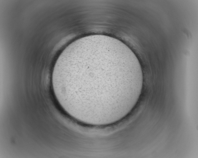 X0000113900016200910151406