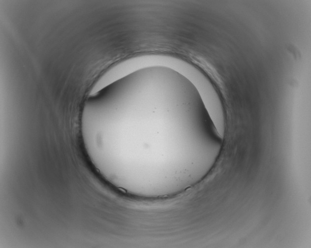 X0000113900017200910151406