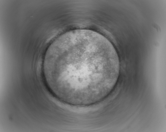 X0000113900018200910151406