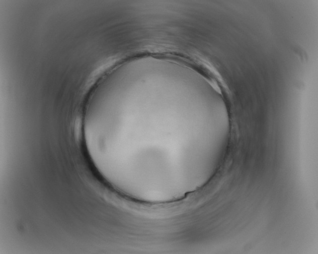 X0000113900019200910151406