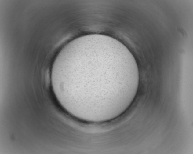 X0000113900020200910151406