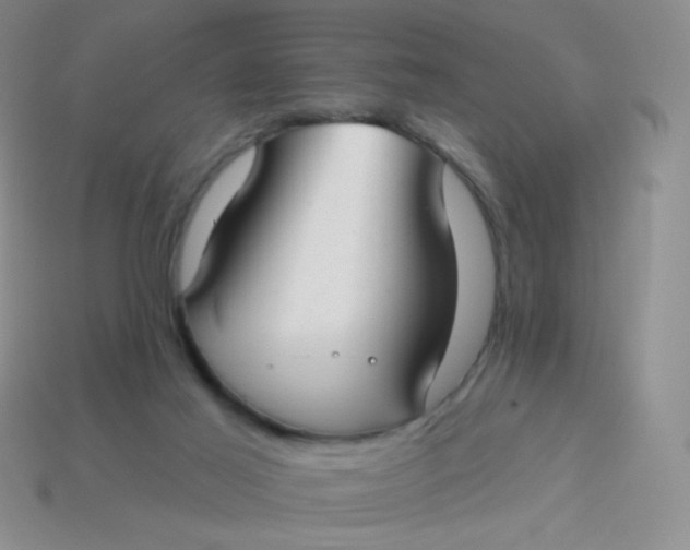 X0000113900021200910151406