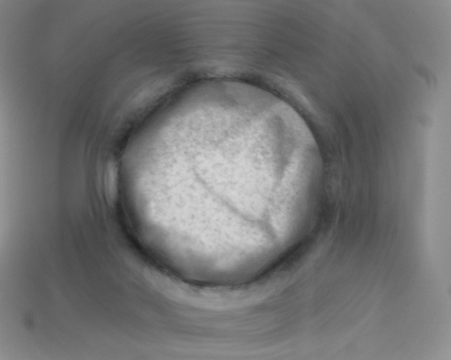 X0000113900022200910151406