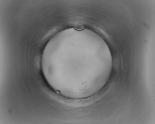 X0000113900023200910151406