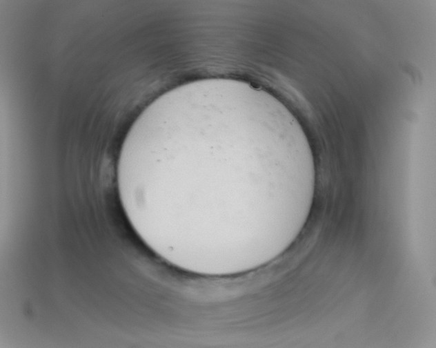 X0000113900025200910151406