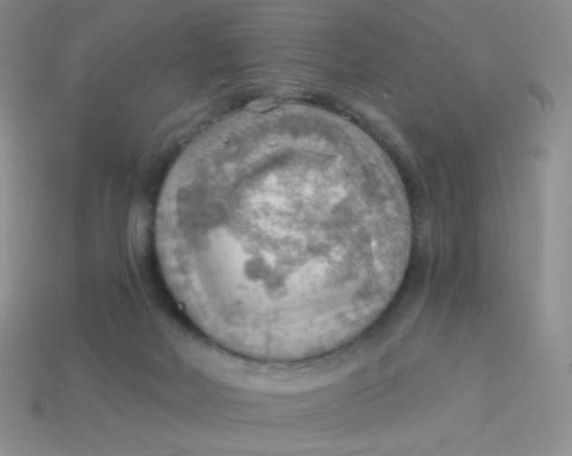 X0000113900026200910151406