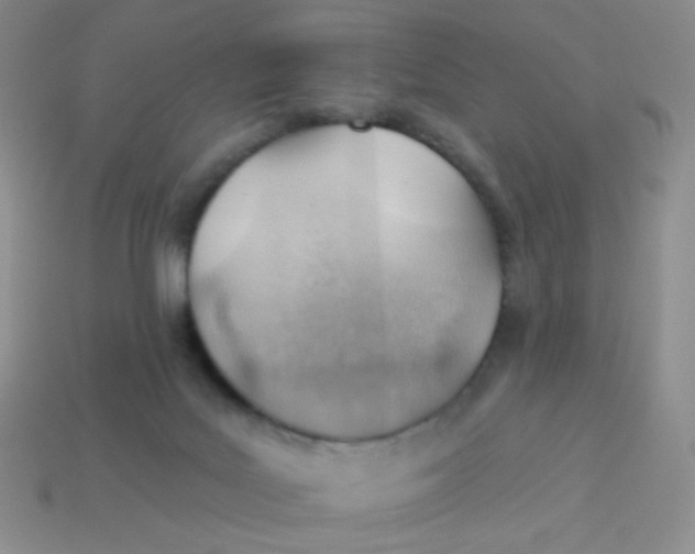 X0000113900027200910151406