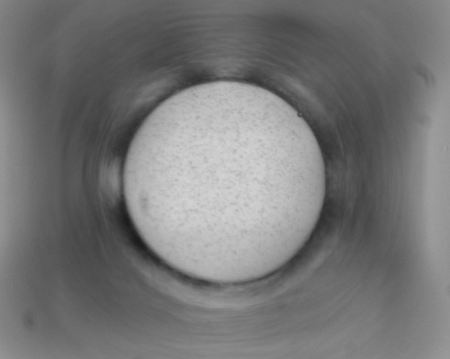 X0000113900028200910151406