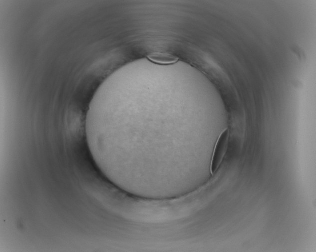 X0000113900029200910151406