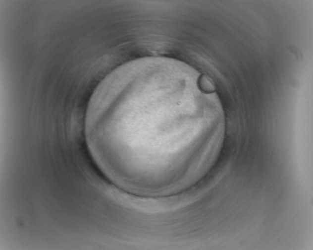 X0000113900030200910151406