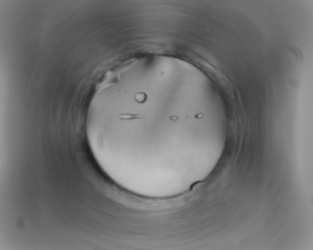 X0000113900031200910151406