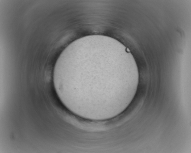 X0000113900032200910151406