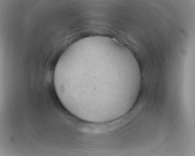 X0000113900033200910151406