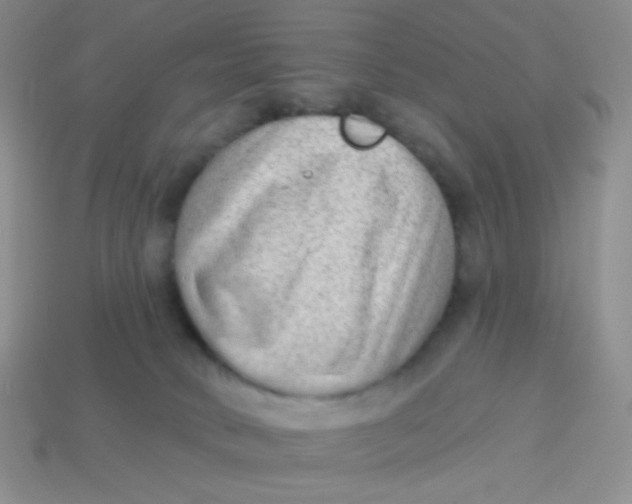 X0000113900034200910151406