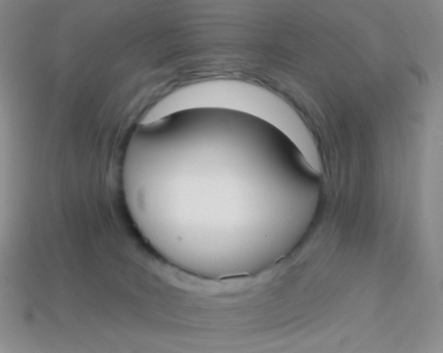 X0000113900035200910151406