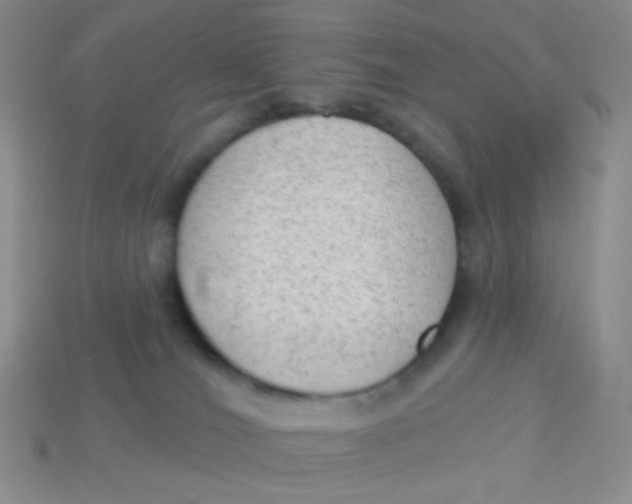 X0000113900036200910151406