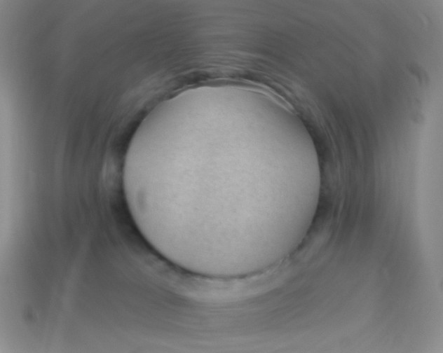 X0000113900037200910151406