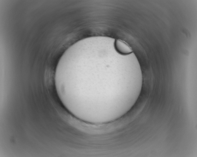 X0000113900038200910151406