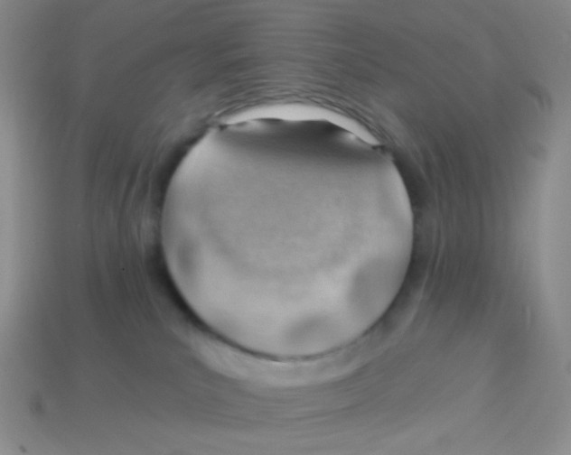 X0000113900039200910151406