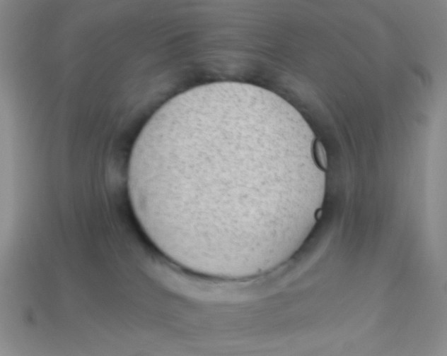 X0000113900040200910151406